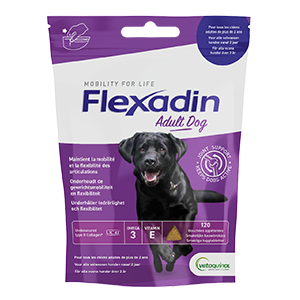 Flexadin - 4life - Mobilität und Gelenke - Erwachsener Hund - 120 Bisse - VETOQUINOL - Produkte-Veto.com