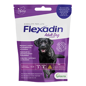 Flexadin pour chien et chat : complément nutritionnel arthrose