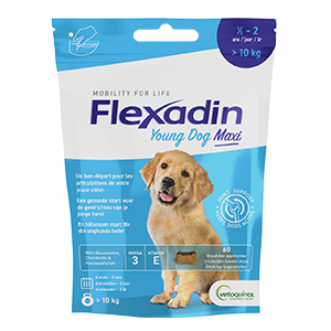 Flexadin - 4life - Mobility and Joints - Young dog maxi - 60 bites - VETOQUINOL - Products-Veto.com