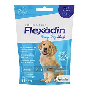 Vetoquinol Flexadin ADV Chew CN 60 Bouchées Pour Chien