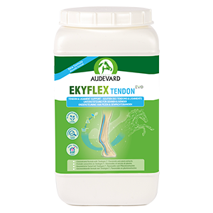 Ekyflex Tendon Evo - 1,8 kg - Sen- och ligamentstöd - AUDEVARD - Products-veto.com