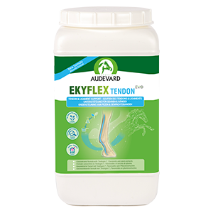 Ekyflex Tendon Evo - 1,8 kg - Sehnen- und Bänderunterstützung - AUDEVARD - Products-veto.com