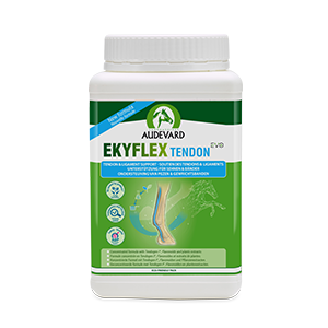 Ekyflex Tendon Evo - 900 g - Jänteiden ja nivelsiteiden tuki - AUDEVARD - Products-veto.com