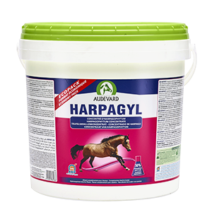 Harpagyl - Harpagophytum - ジョイントサポート - Audevard - 4,5 kg ポット - Produits-veto.com