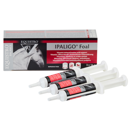 Equistro Ipalo Foal - Varsan kasvu - 3 x 14 g - VETOQUINOL - Produits-veto.com