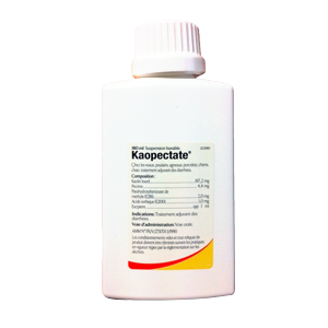 Kaopectate - Intestinal disorders - Diarrhea - 480 ml - ZOETIS