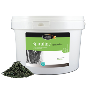 Spiruline Vermicelles - Protéines et vitamines - Cheval - 1 kg - HORSE MASTER