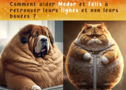 202311 - Animal obesity - Miniature - Produits-veto.com