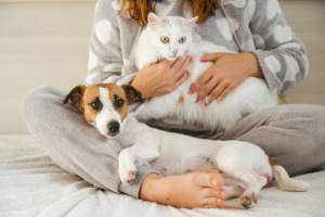 Abraço de uma pessoa a um cachorro e um gato para combater o frio do inverno