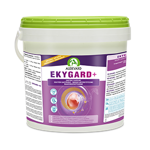 Ekygard + Protection gastrique - Acidité - Cheval - 6 kg - Audevard - Produits-veto.com
