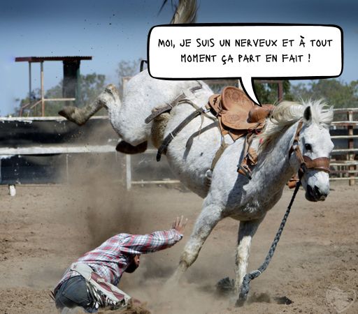 Stress chez le cheval qui fait sauter son partenaire en pleine compétition