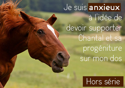 Miniature article - stress anxiété cheval - 495 x 400 px - Produits-veto.com