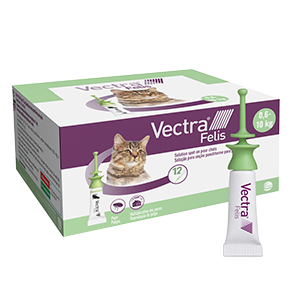 Vectra Felis – pulgas, garrapatas e insectos voladores – Gato – 12 pipetas – CEVA