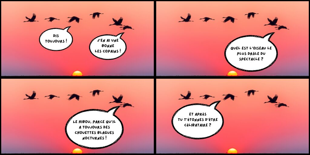 Bade dessinée avec blague d'un oiseau en plein vol