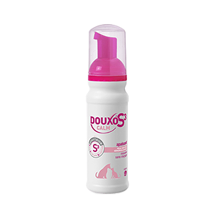 Douxo S3 Calm Espuma calmante - Pieles sensibles - Perro y gato - 150 ml - CEVA - Produits-veto.com