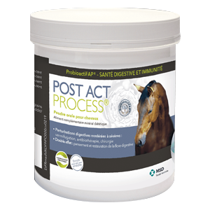 Post Act Process - Digestive disturbances - 500 g - Horse - MSD Animal health - Produits-veto.com