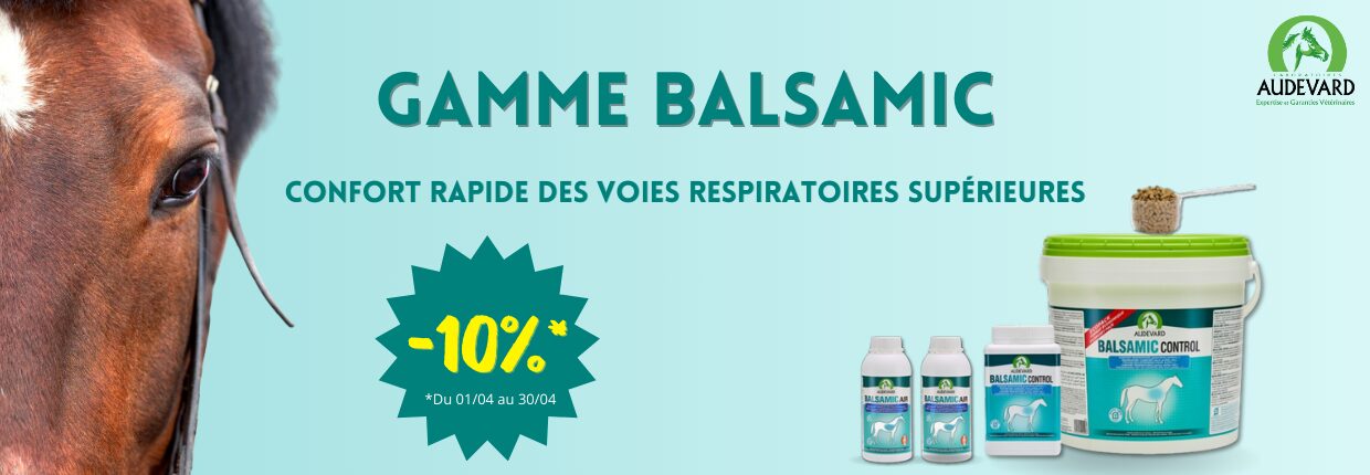 Bandeau une gamme balsamic audevard