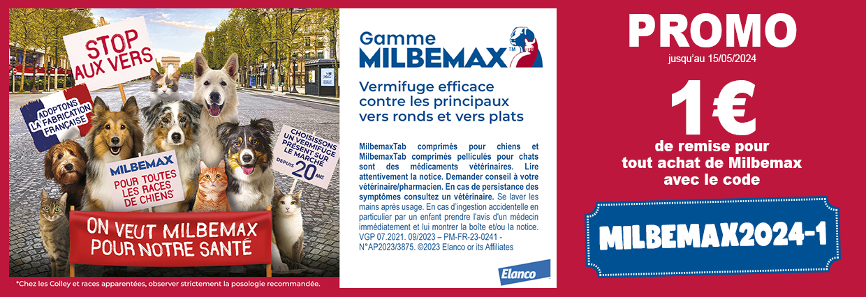 2024-MILBEMAX-1Euro-PC 1240x750