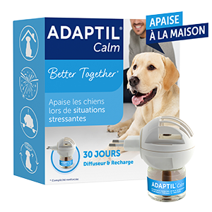 Adaptil Calm - 扩香器和补充装 - 30 天 - 压力和焦虑 - 狗 - Ceva - Produits-veto.com