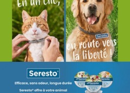 Image de l'article principal pour présenter l'offre Seresto et Milbemax