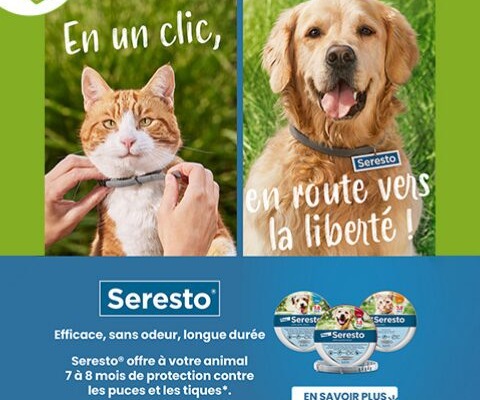 Image de l'article principal pour présenter l'offre Seresto et Milbemax