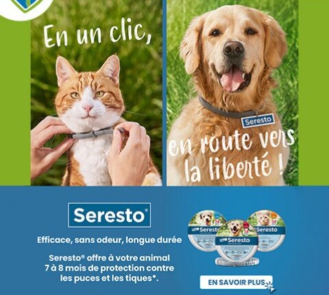 Image de l'article principal pour présenter l'offre Seresto et Milbemax