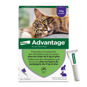 Advantage 80 – 6×0,8 ml – anti puces – Chat et lapin – 6 pipettes – ELANCO