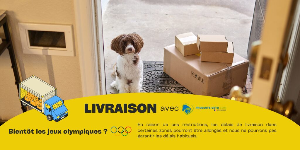 Bandeau pincipal pour présenter les délais de livraison rallongés