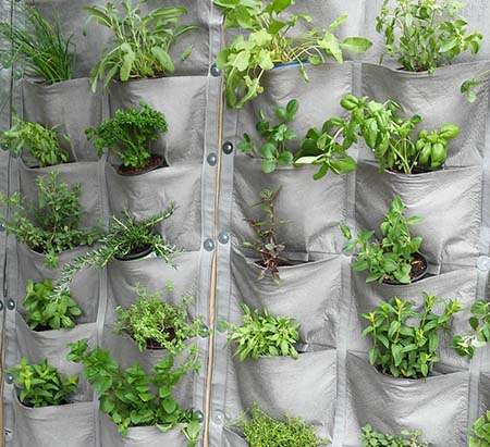 Exercise your green fingers with Vertical Veg - SA Decor & Design