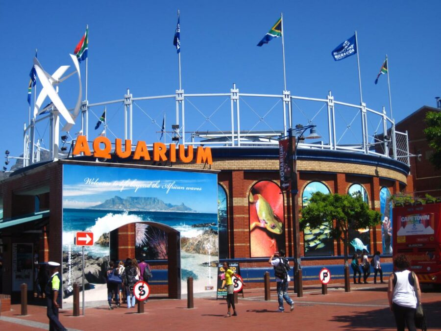 Claybrick-capetown-aquarium Claybrick-capetown-aquarium