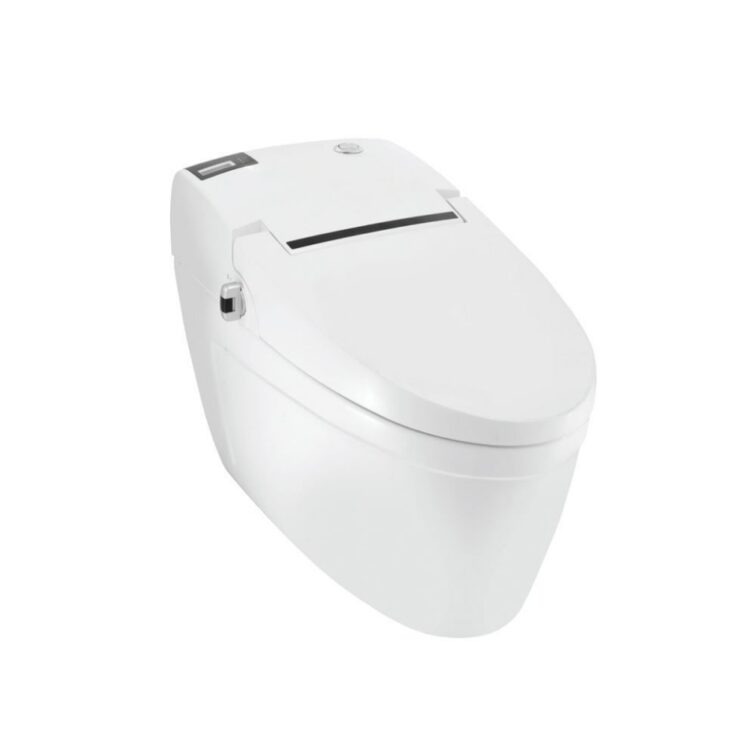 bidspa-fully-automatic-single-piece-wc bidspa-fully-automatic-single-piece-wc