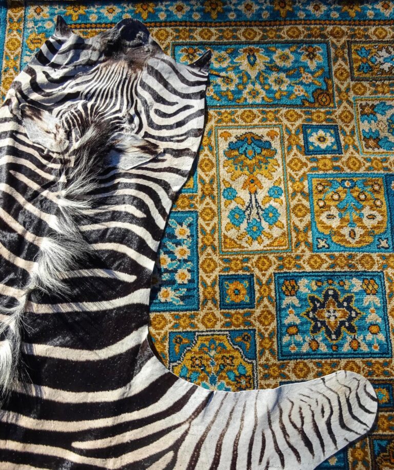 The Nguni Guy SA's Premier Hide Retailer SA Decor & Design