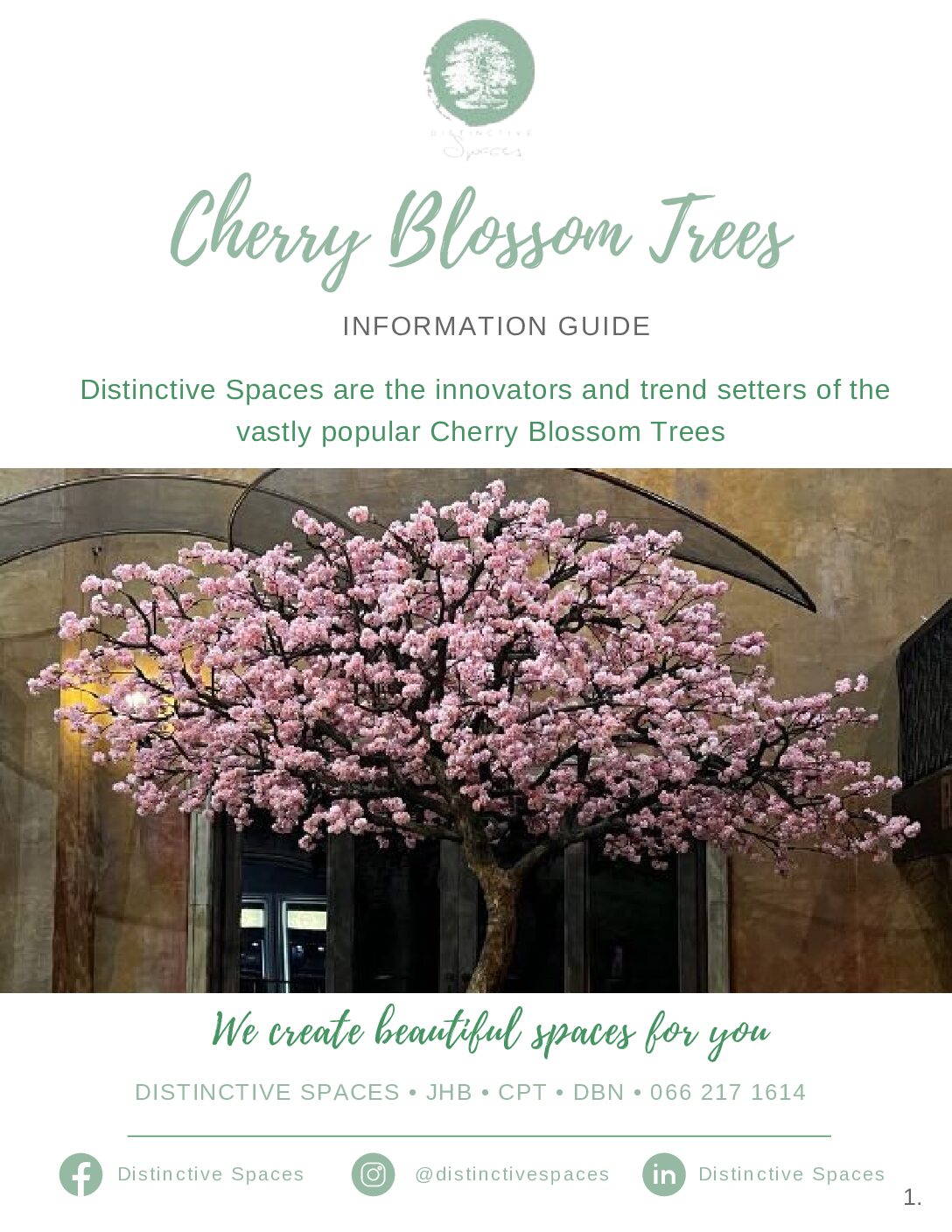 Distinctive Cherry Blossoms