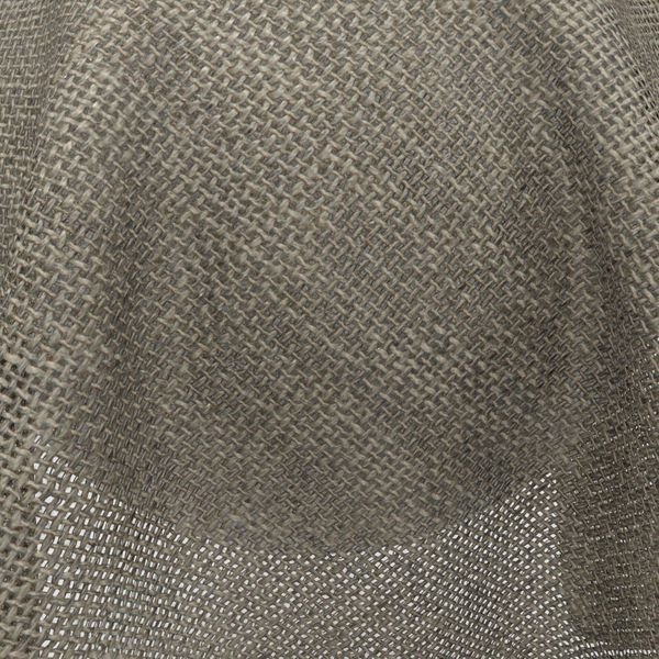 new-collections-transit-focus-otter new-collections-transit-focus-otter