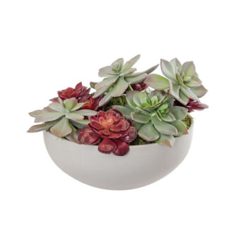 Artificial Mixed Succulents Greenery Arrangement set in a white planter Artificial Mixed Succulents Greenery Arrangement set in a white planter