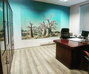obs-gyn-office-wall-art-installations-interior-wall obs-gyn-office-wall-art-installations-interior-wall