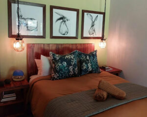 sunbird-interiors-living-room sunbird-interiors-living-room