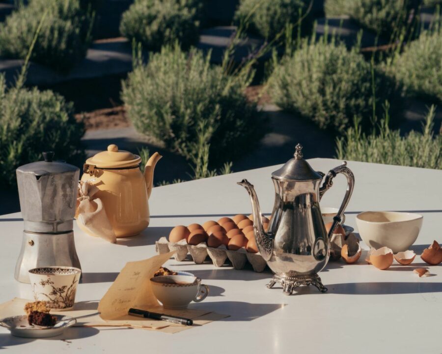 jan-franschhoek-caesarstone-palm-shade