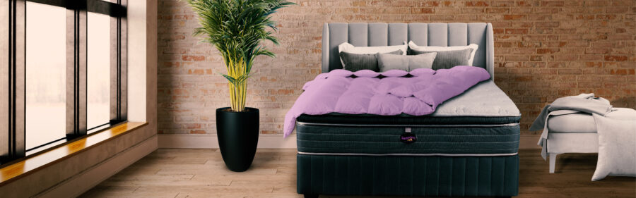 slumberland-lifestyle-bedroom-settings-lavender-duvet