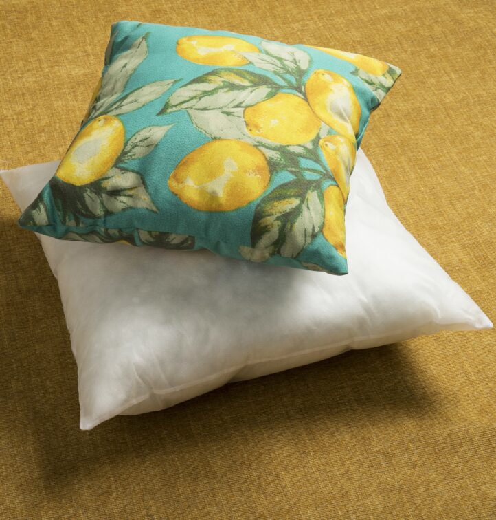 kehls-cushion-inner-with-covered-cushion