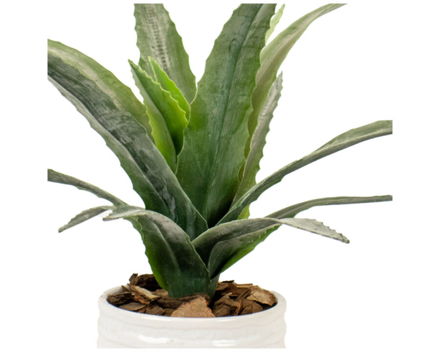 silk-by-design-aloe-arrangement–green-close-up silk-by-design-aloe-arrangement–green-close-up