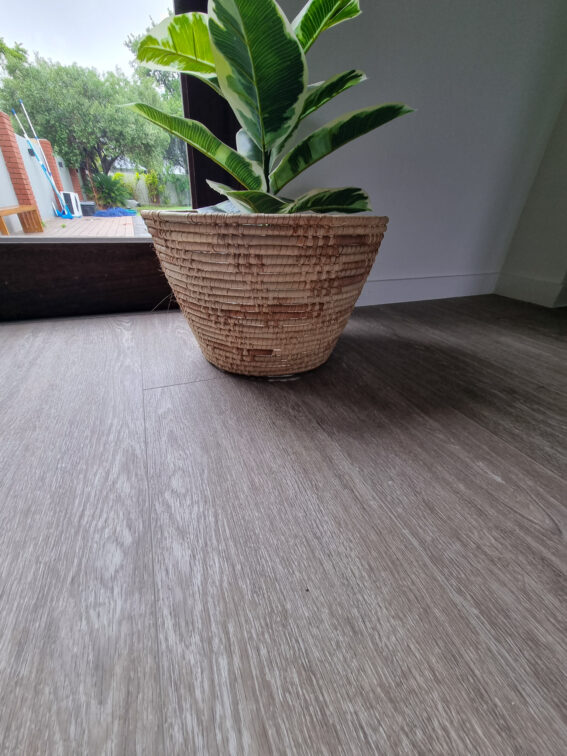 unique-flooring-plant