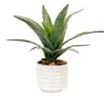 silk-by-design-aloe-arrangement–green-plant-pot silk-by-design-aloe-arrangement–green-plant-pot