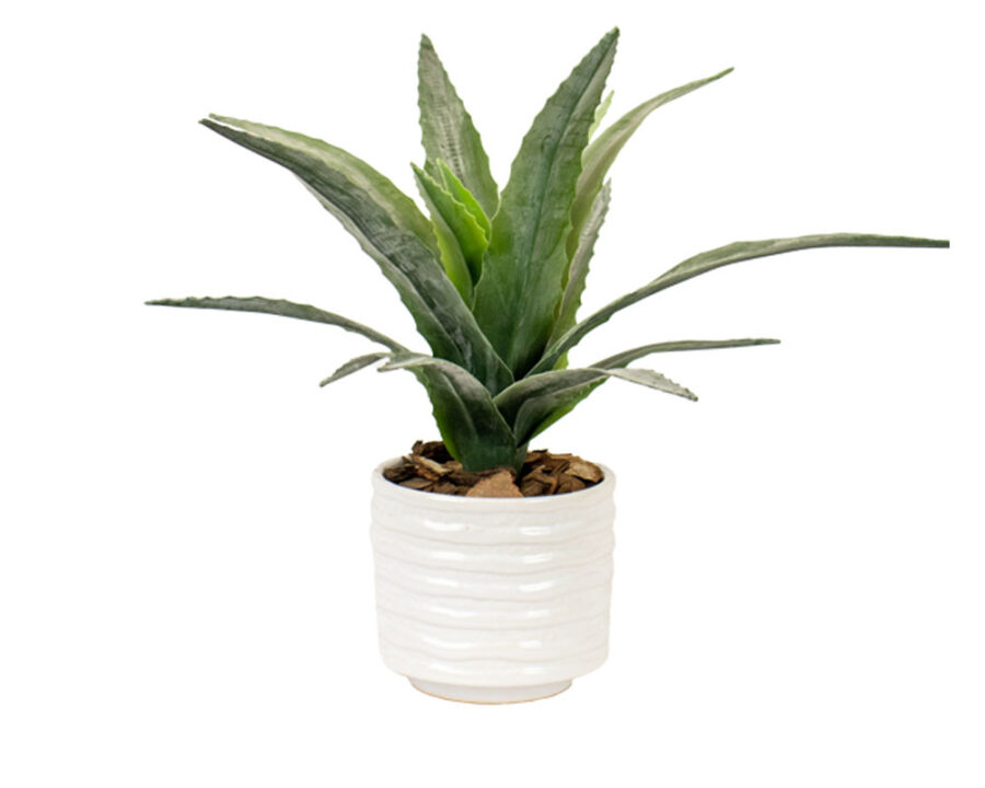 silk-by-aloe-arrangement–green silk-by-aloe-arrangement–green