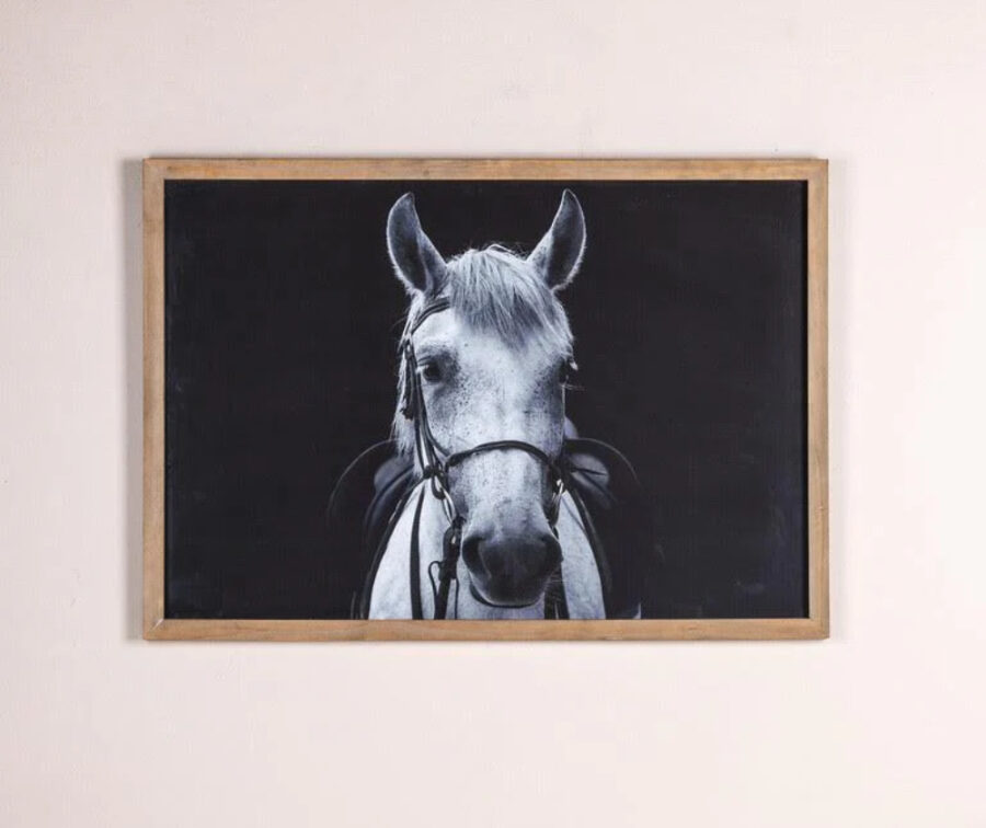 White-Horse-Framed-Print White-Horse-Framed-Print