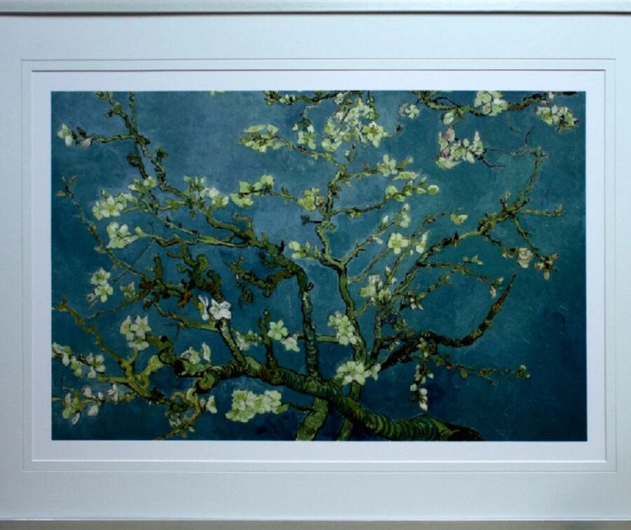 Almond-Blossom-Fine-Art Almond-Blossom-Fine-Art