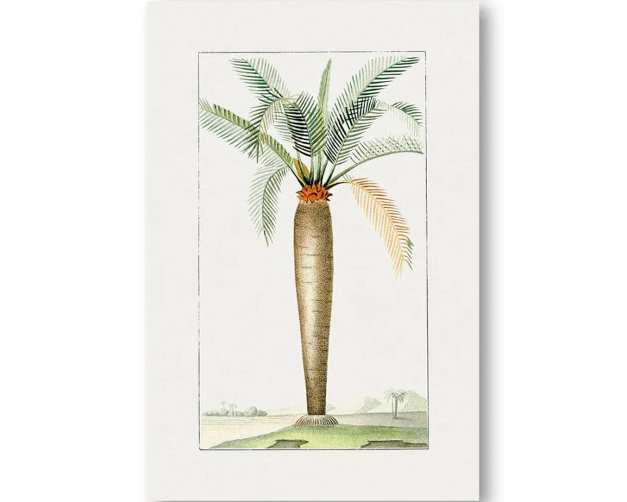 vintage-palm-print-1 vintage-palm-print-1
