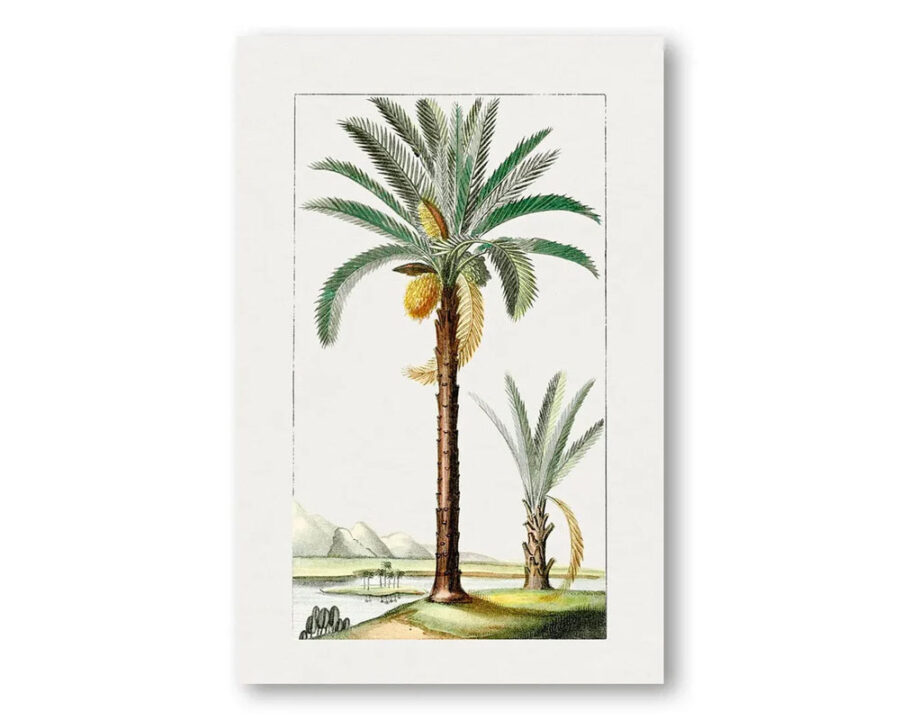 vintage-palm-print-2 vintage-palm-print-2