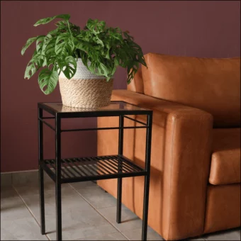 Ardhi Manii Table Ardhi Manii Table