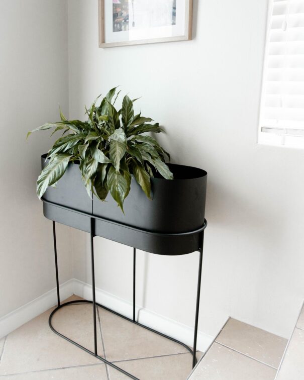 capsule-standing-planter-side capsule-standing-planter-side